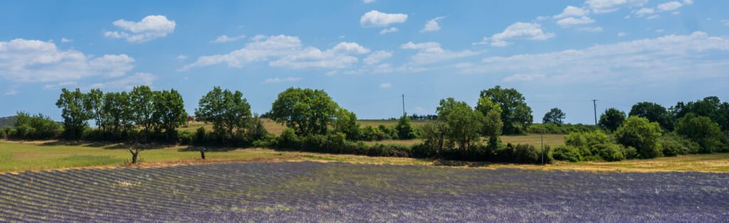 photographie d'un paysage typique provencale
